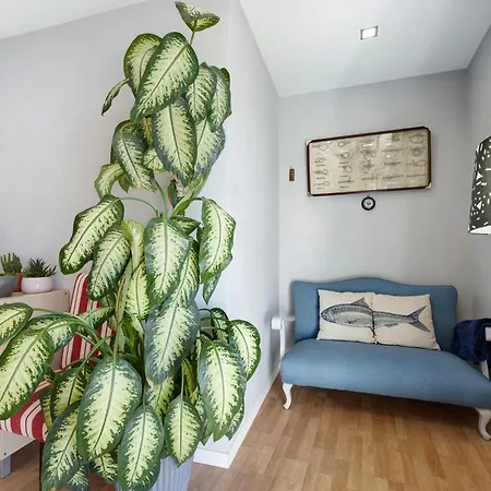 Casa Vista Rio * فيريغودو